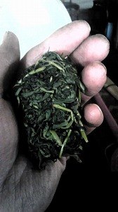 茶工場