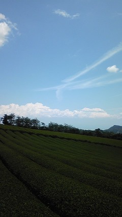 仕事中に・・・