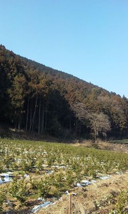 そろそろ・・・