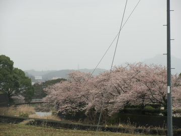 週末は嬉野へ!!