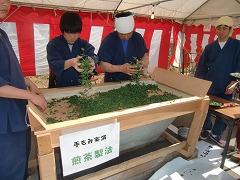 遅くなりましたが…うれしの茶ミット2日目♪