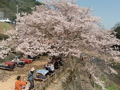 遅くなりましたが…うれしの茶ミット2日目♪