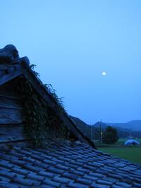 屋根を這うヤマイモと、月。