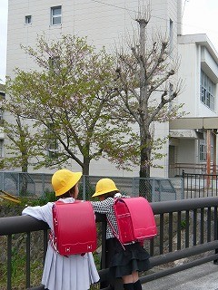 ♪入学式♪