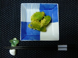 今が旬・蕗の薹