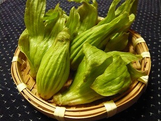 今が旬・蕗の薹