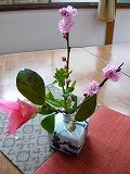 伊万里焼ランプまたまた大好評!