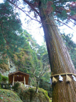 権現岳神社へ初詣。
