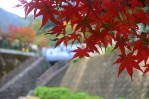 紅葉@大川内山