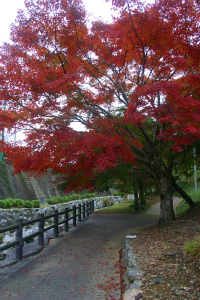 紅葉@大川内山