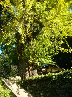 秘窯の里・大川内山~行楽日和~