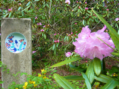 鍋島藩窯公園のシャクナゲ