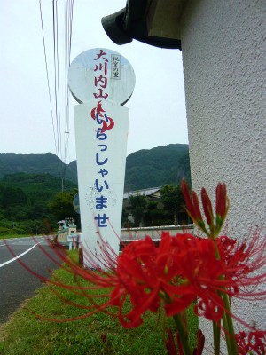 彼岸花の季節。