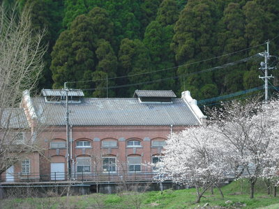 広滝発電所の桜