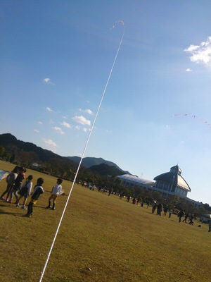 凧よ天まで 凧よ天まで