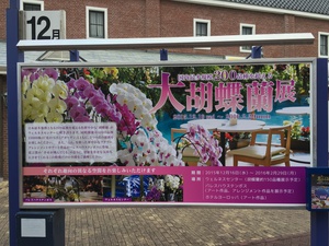大胡蝶蘭展 大胡蝶蘭展