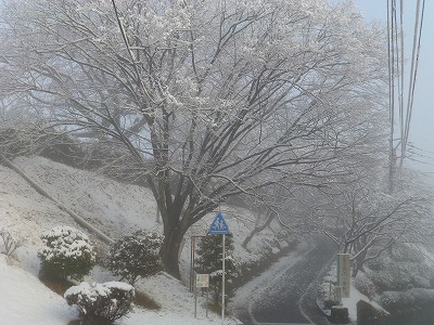 武内町の雪景色