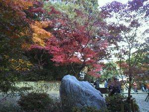 京都のどこかに?
