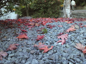 京都のどこかに?