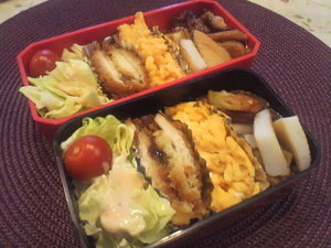 妻と娘の為に作ってパパ弁♪