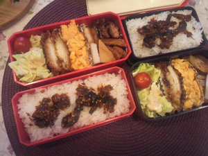 妻と娘の為に作ってパパ弁♪