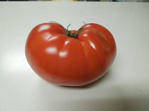 トマトは野菜？
