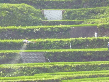 山間部のヘリ防除！