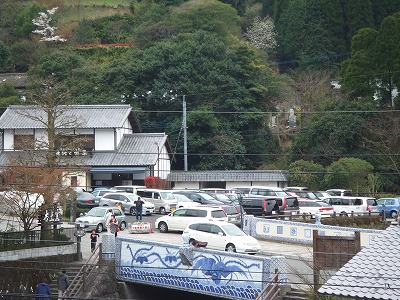 大川内山・・満開の桜~!