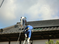 ソーラーパネル設置の屋根へ上って行きます