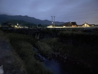 【ホタル情報2025】山本地区のホタル