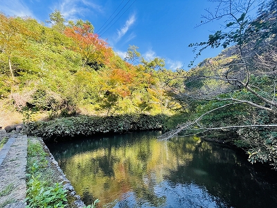 有田の紅葉情報2021 Vol.1