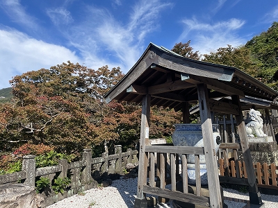 有田の紅葉情報2021 Vol.1
