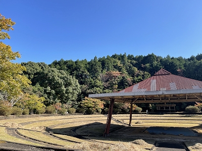 有田の紅葉情報2021 Vol.1
