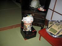 ネコ御一同！
