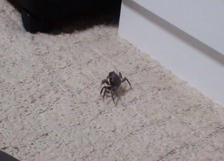田舎に泊まろう
