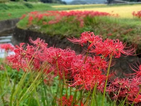 思わぬ充実の３時間