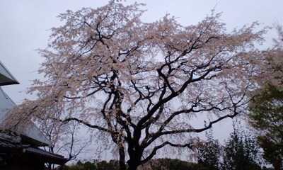 「大漁」に思う