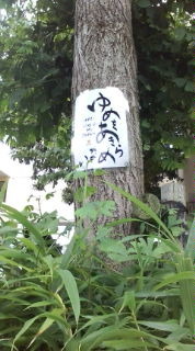 夢をあきらめない、信じる力