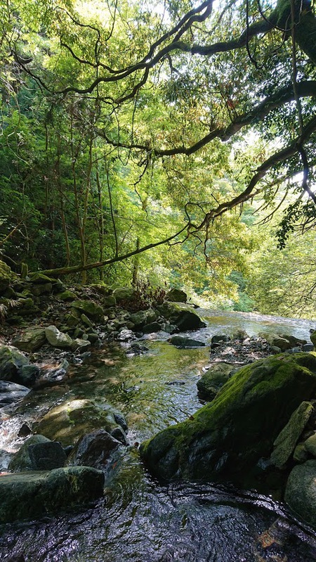 これが天山？天山新ルート登ってきました