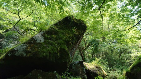 これが天山？天山新ルート登ってきました