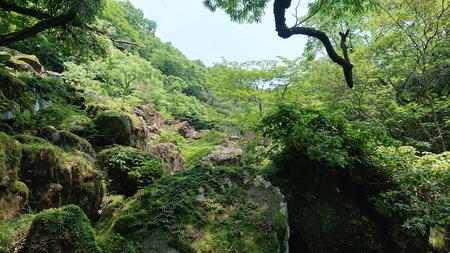 これが天山？天山新ルート登ってきました