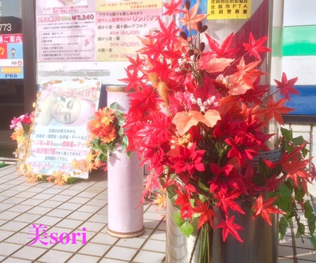 秋のお肌・お顔そり美容法