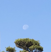 頭の重さって？