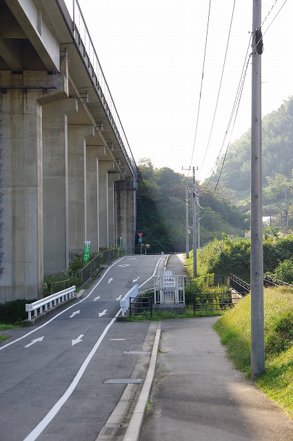 散歩道