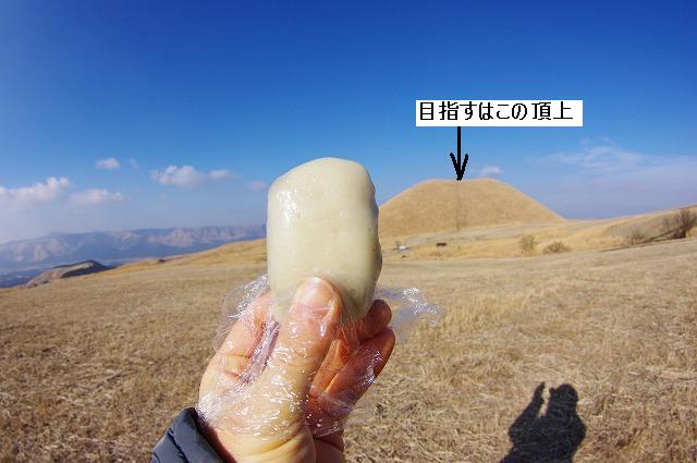 冬眠