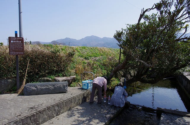 阿蘇桜