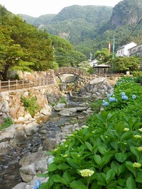 紫陽花とホタル～６月の大川内山～
