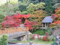 大川内山の素敵なお散歩コース。