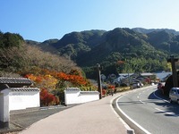 大川内の紅葉。