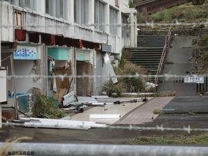 毎日が正月日和:サボテンハーブ園は今